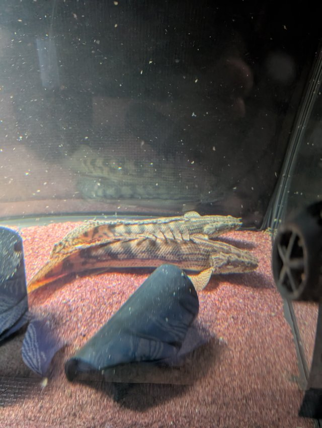 1000010111.jpg 1000010111.jpg