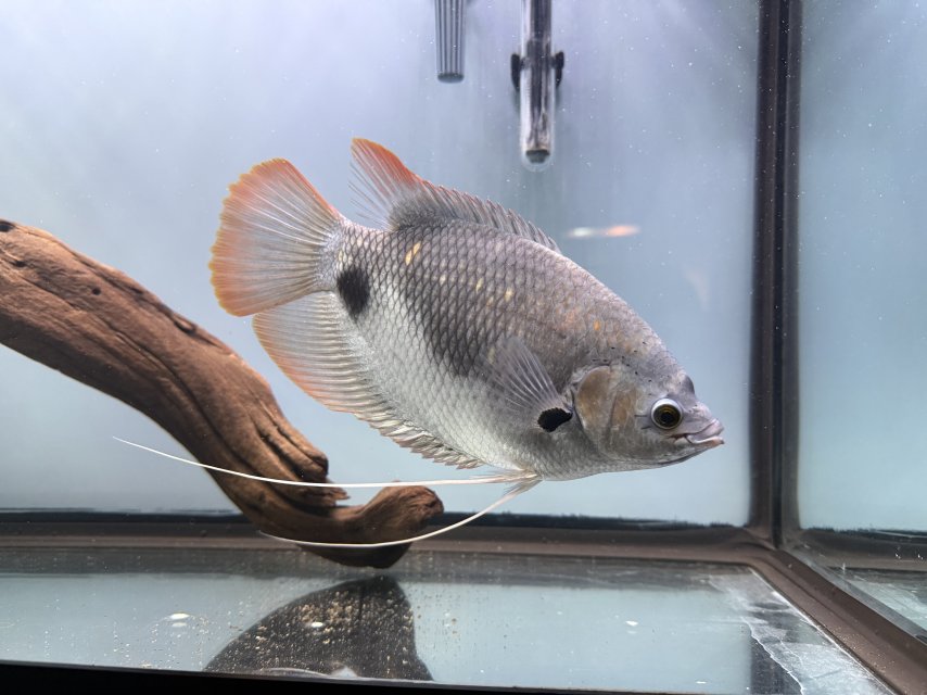 IMG_6787.jpeg IMG_6787.jpeg