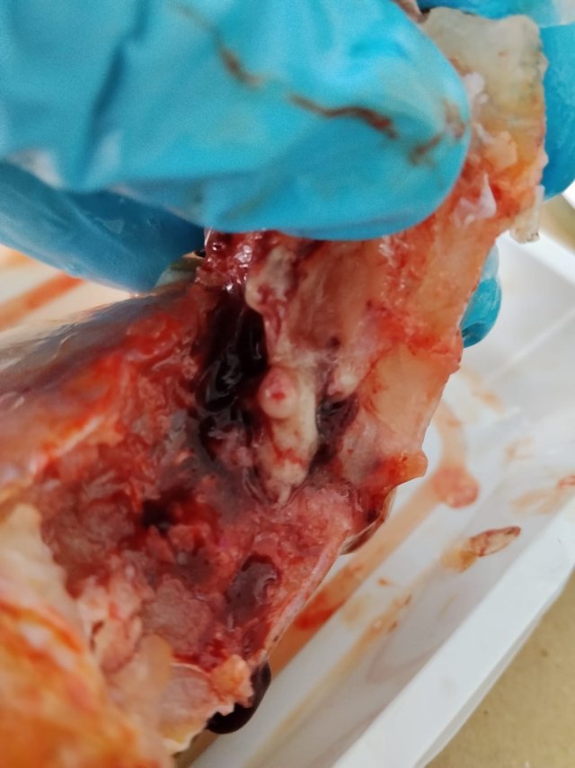 WhatsApp Image 2026-03-04 at 11.23.29 AM.jpeg