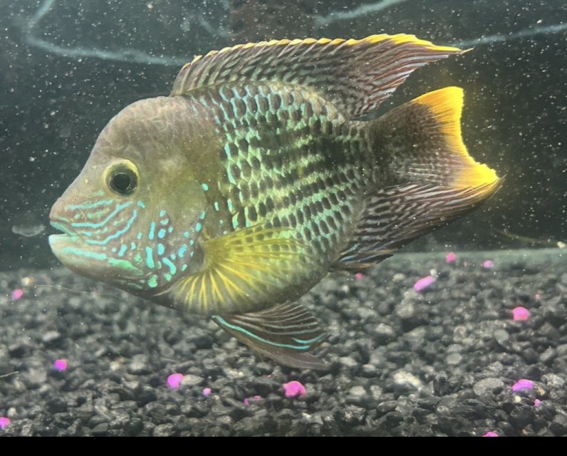 IMG_6789.jpeg IMG_6789.jpeg