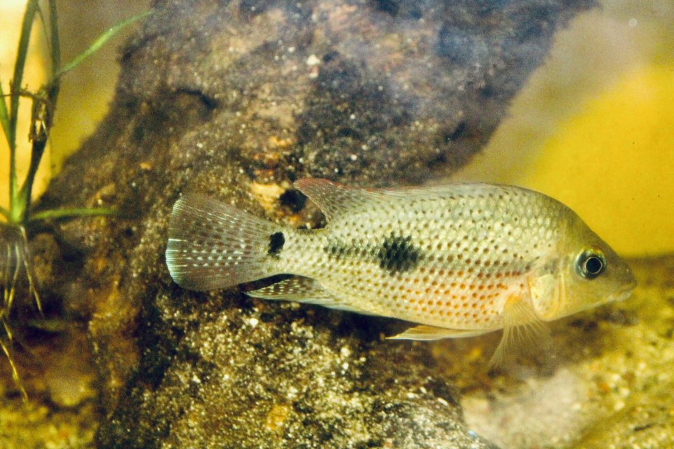 IMG_1304.jpeg IMG_1304.jpeg