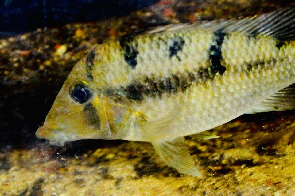 IMG_1221.jpeg IMG_1221.jpeg