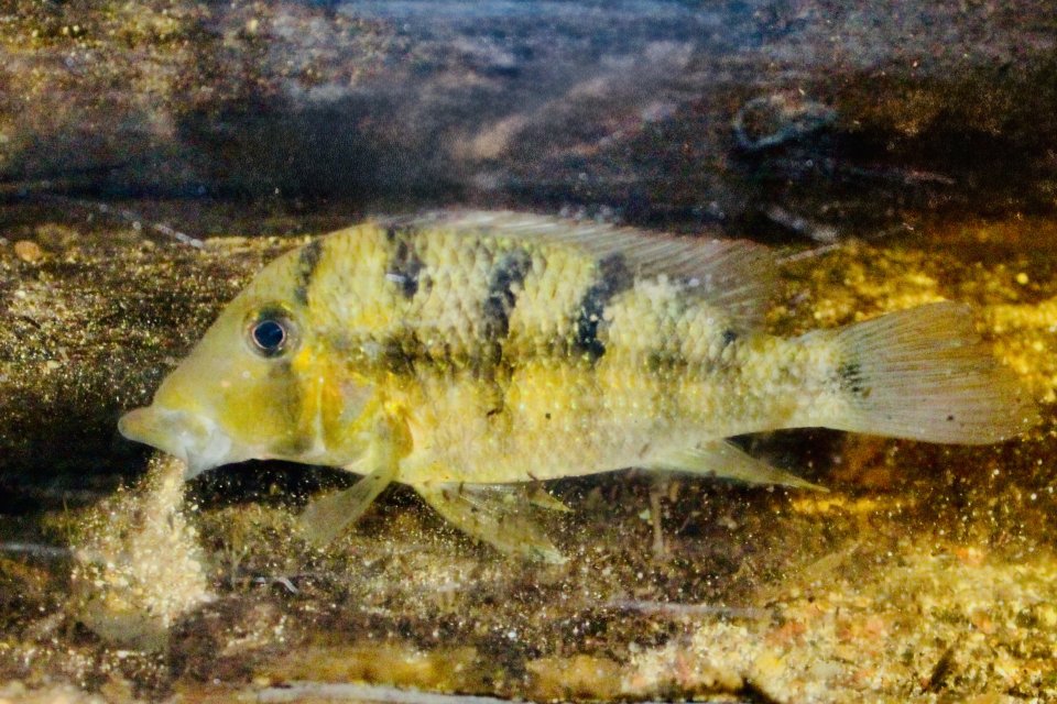 IMG_1042.jpeg IMG_1042.jpeg