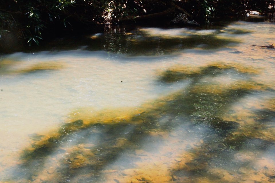 IMG_1019.jpeg IMG_1019.jpeg