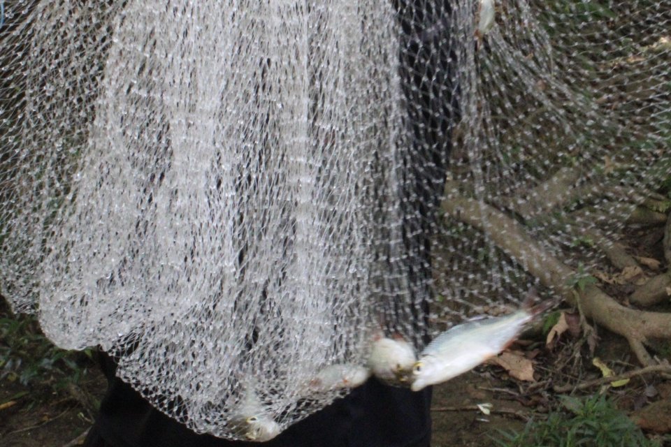 IMG_1016.jpeg IMG_1016.jpeg