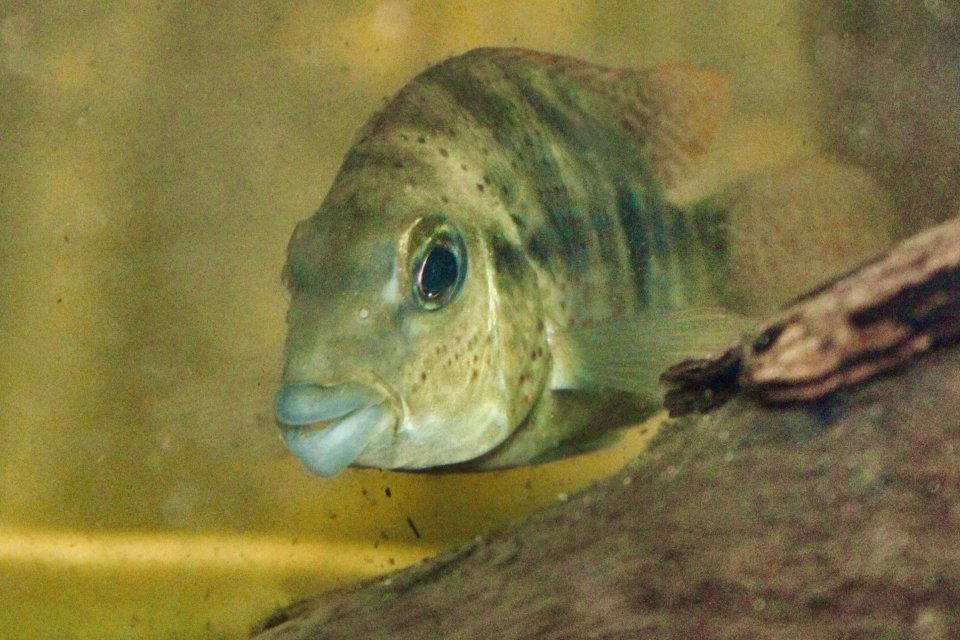 IMG_9176.jpeg IMG_9176.jpeg