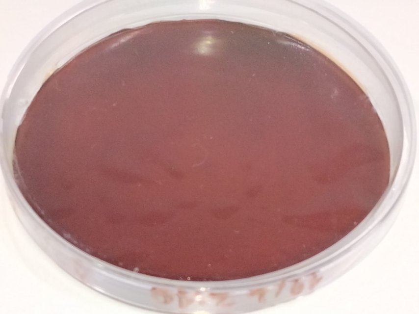 WhatsApp Image 2026-02-25 at 10.35.14 AM.jpeg