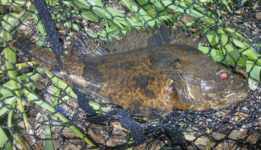 20260128_201817 - Copy.jpg