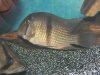 100_0760.jpg