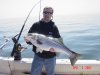 Joes Rock #5 39 inch.JPG