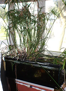 1777997353761.png 1777997353761.png