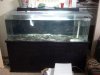 100 gal.JPG