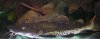DSCN1743.JPG