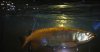 DSCN1740.JPG