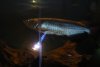 DSCN1739.JPG
