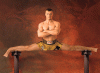 cro-cop.gif