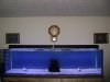 DSC01289 (Medium).JPG