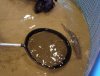 DSC08245.jpg