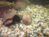 DSC01022_resize.JPG