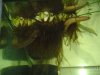 DSC02957.JPG