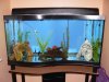 Surf Line 90 Gal Tank.jpg Surf Line 90 Gal Tank.jpg