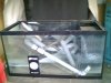sump 002.jpg
