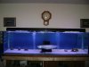 DSC01403 (Medium).JPG DSC01403 (Medium).JPG