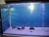DSC01445 (Medium).JPG DSC01445 (Medium).JPG