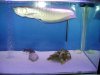 DSC01447 (Medium).JPG DSC01447 (Medium).JPG