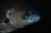 DSC_4886.JPG