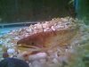 sump 3 004.jpg