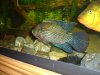 DSC02486.JPG