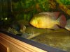 DSC02491.JPG
