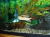 DSC01036.JPG