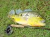 4_pounder_of_the_day_979.jpg