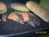 100_1337.jpg