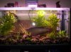 000_0369.jpg
