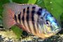 thumb_DSC00018.jpg