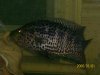 100_0016.jpg