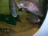 100_0766.jpg
