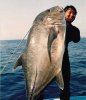ulua_copy.jpg