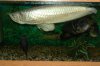 DSC00291.jpg