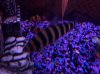 100_3188.jpg