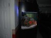 DSC_0579.JPG DSC_0579.JPG