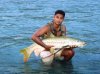 Catch_Fish.jpg