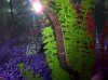 100_3202.jpg