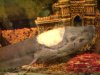 lungfish 2.JPG