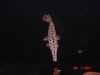 ALL AROUND PIC'S 251.jpg