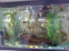 DSC00524.JPG