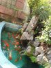 DSC00533.JPG